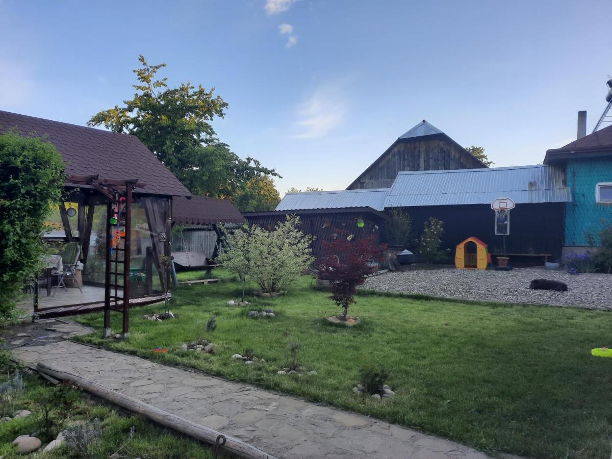 Casa Bunicilor Ciprian Porumbescu Exterior foto