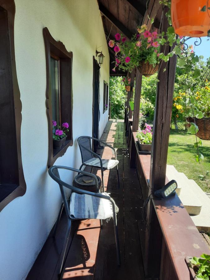 Casa Bunicilor Ciprian Porumbescu Exterior foto