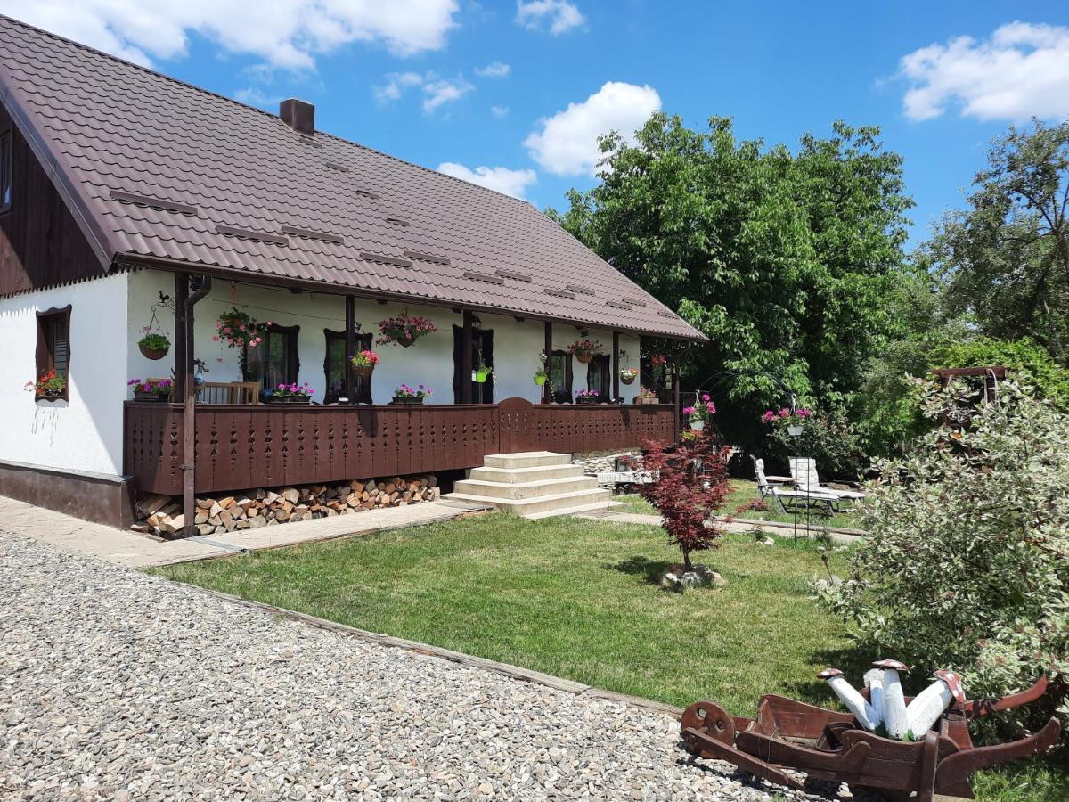 Casa Bunicilor Ciprian Porumbescu Exterior foto