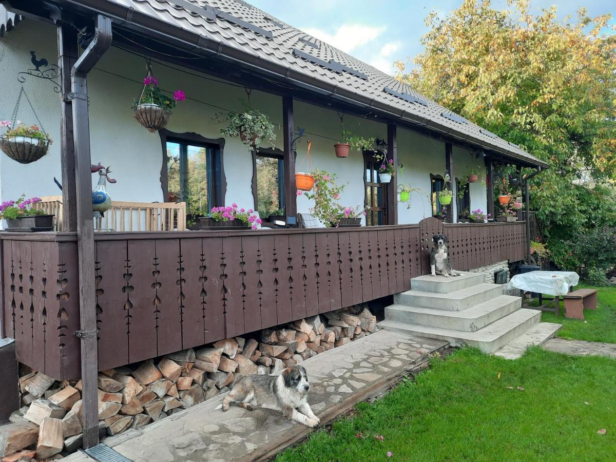 Casa Bunicilor Ciprian Porumbescu Exterior foto