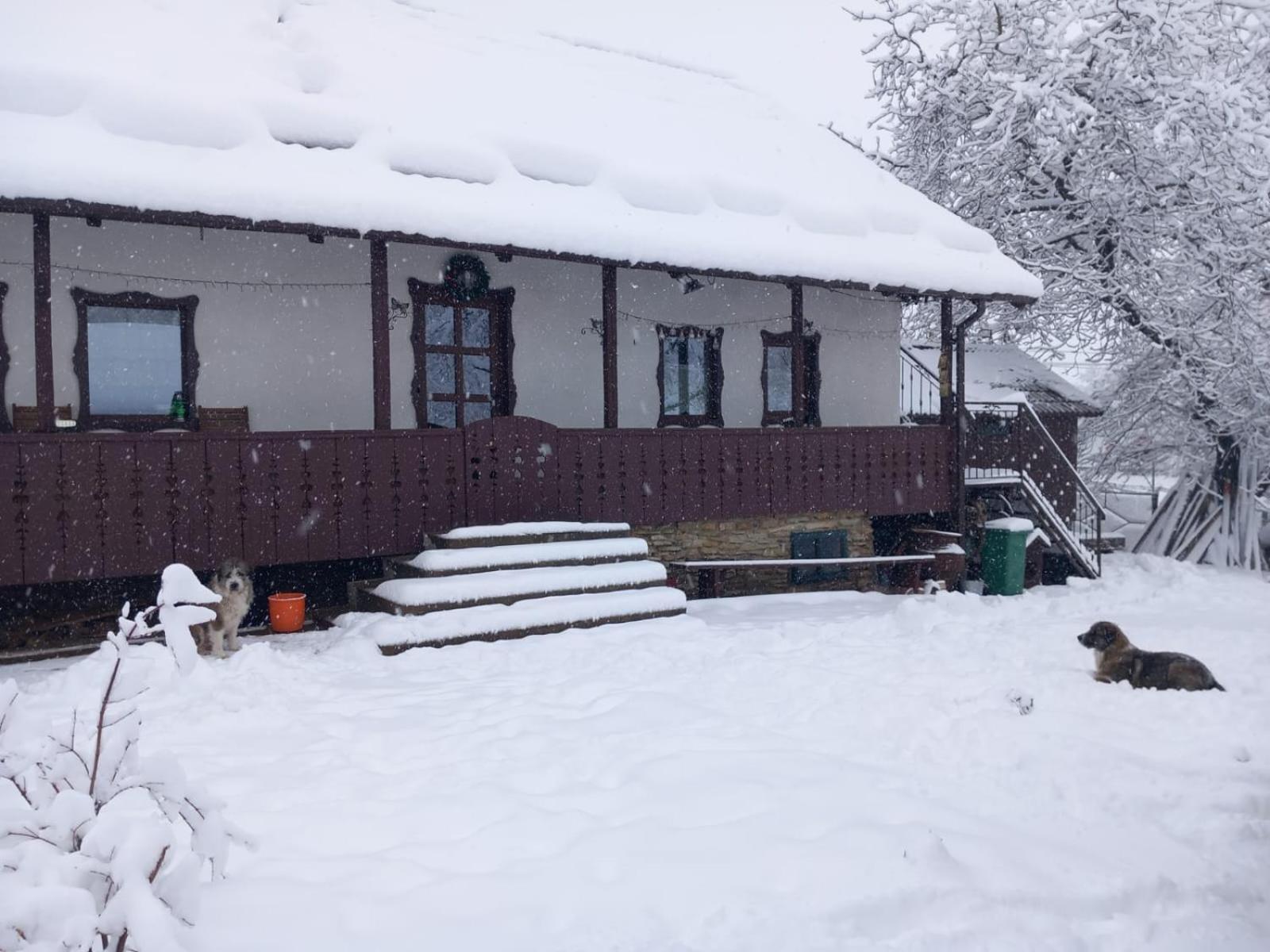 Casa Bunicilor Ciprian Porumbescu Exterior foto